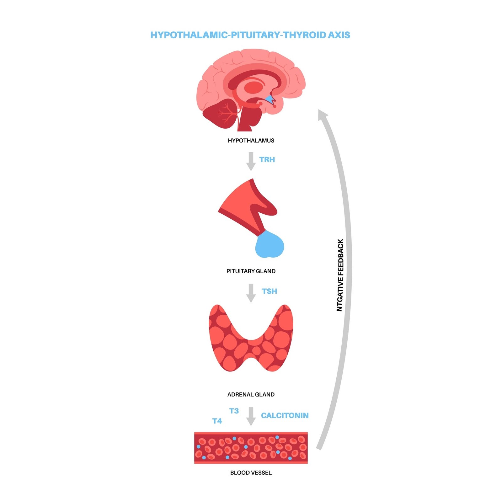 Supporting visual supplied in the client document